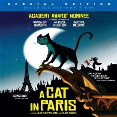 A Cat in Paris (파리의 도둑고양이) (한글무자막)(Blu-ray) (2010)