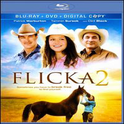 Flicka 2 (플리카) (한글무자막)(Blu-ray) (2011)