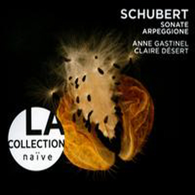 슈베르트: 아르페지오네 소나타, 소나티네 (Schubert : Arpeggione Sonata D.821 &amp; Sonatine D.384)(Digipack)(CD) - Anne Gastinel