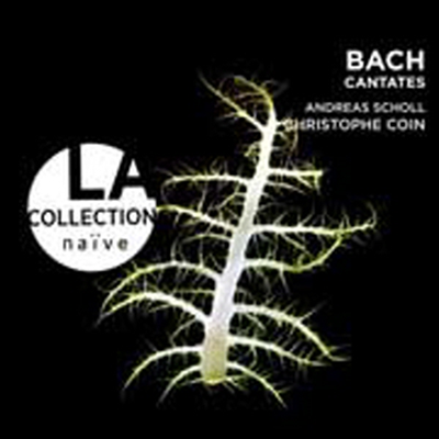 바흐 : 칸타타 BWV180, 49, 115 (Baroque Voices 23 - Bach : Cantatas with violoncello piccolo)(CD) - Christophe Coin