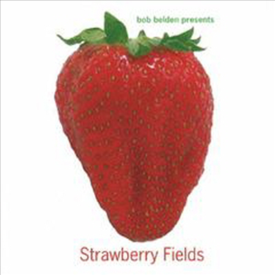 Jazz Tribute to the Beatles - Strawberry Fields (Remastered)(SHM-CD)(일본반)