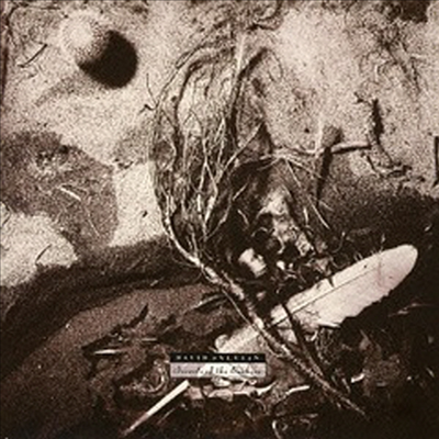 David Sylvian - Secrets Of The Beehive (Ltd. Ed)(Remastered)(Paper Sleeve)(SHM-CD)(일본반)