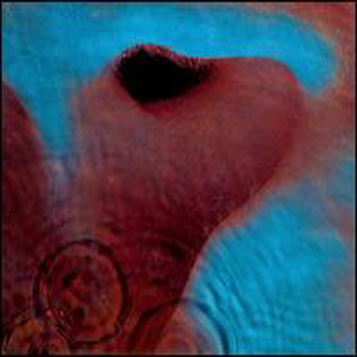 Pink Floyd - Meddle (Remastered)(Digipack)(CD)