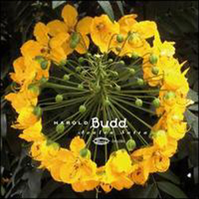 Harold Budd - Avalon Sutra (Remastered)(2CD)