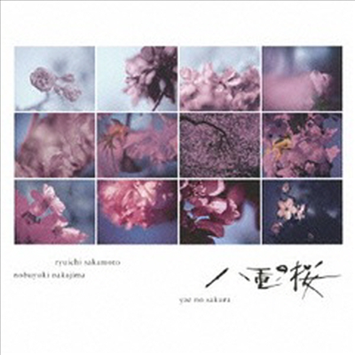 Sakamoto Ryuichi / Nakajima Nobuyuki - Yae no Sakura (야에의 벚꽃) - TV Drama (Soundtrack Complete Edition)(2CD)(일본반)