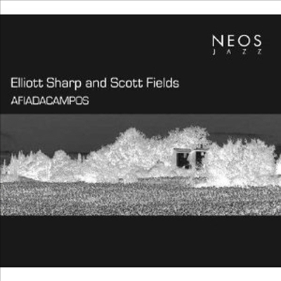 Elliott Sharp And Scott Fields - Afiadacampos (CD)