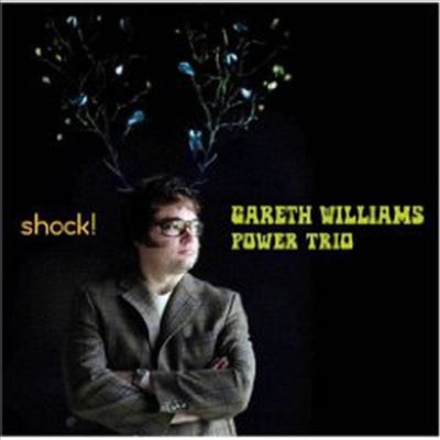 Gareth Williams Power Trio - Shock! (SACD Hybrid)