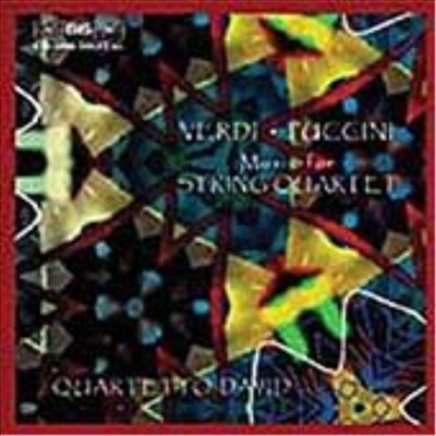 베르디, 푸치니 : 현악 사중주집 (Verdi, Puccini : String Quartets)(CD) - Quartetto David