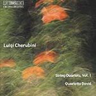 케루비니 : 현악 사중주 1, 2번 (Cherubini : String Quartets No.1, No.2)(CD) - Quartetto David