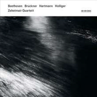 베토벤, 브루크너, 하르트만 &amp; 홀리거: 현악 사중주집 (Beethoven, Bruckner, Hartmann &amp; Holliger: String Quartets) (2CD) - Zehetmair Quartett