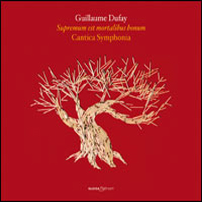 기욤 뒤파이 : 모테트 제 2 집 (Guillaume Dufay : Motets 2)(CD) - Giuseppe Maletto