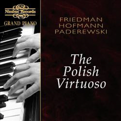 폴란드의 대가들 (The Polish Virtuoso)(CD) - Josef Hofmann