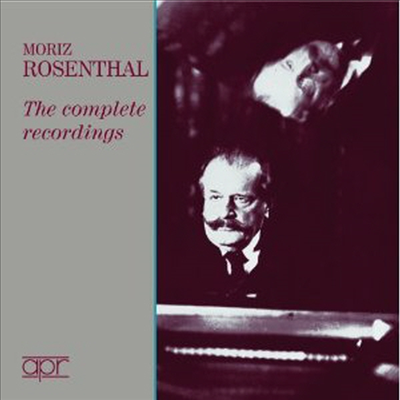 모리츠 로젠탈 - 피아노 솔로 레코딩 전집 &#39;1928-1942&#39; (Moritz Rosenthal - The Complete Recordings Play by Piano Solo) (5 FOR 2) (Box Set) - Moritz Rosenthal