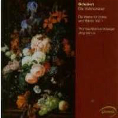 슈베르트 : 바이올린 소나타 (Schubert : The Sonatas for Violin and Fortepiano)(CD) - Thomas Albertus Irnberger