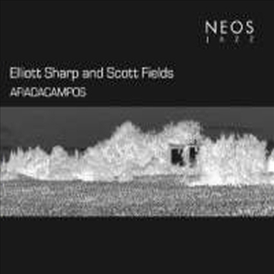 엘리엇 샤프 & 스코트 필즈 : AFIADACAMPOS (CD) - Elliott Sharp