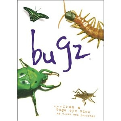 Bugz (곤충들) (지역코드1)(한글무자막)(DVD)