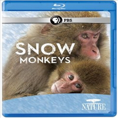 Nature: Snow Monkeys (스노우 몽키즈) (한글무자막)(Blu-ray)