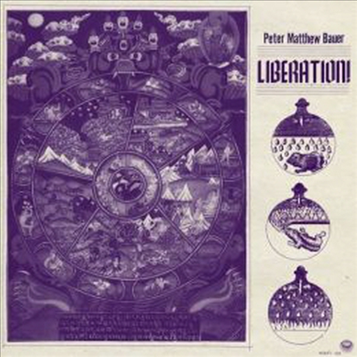 Peter Matthew Bauer - Liberation (CD)