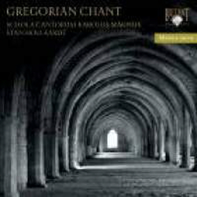 그레고리안 성가 (Gregorian Chant - Images of Christ in Gregorian Chants)(CD) - Schola Cantorum Karolus Magnus