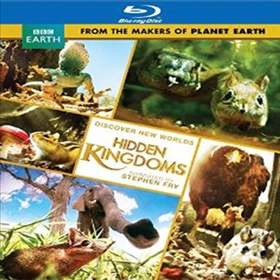 Hidden Kingdoms : Original UK Version of Discovery&#39;s Mini Monsters (히든 킹덤) (한글무자막)(Blu-ray)
