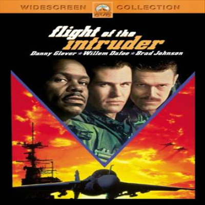 Flight Of The Intruder (최후의 출격) (2013)(지역코드1)(한글무자막)(DVD)