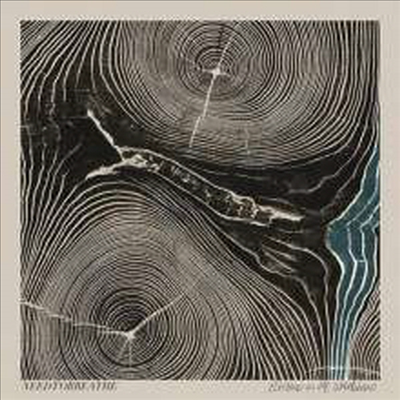 Needtobreathe - Rivers In The Wasteland (Download Code)(Vinyl LP)