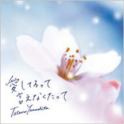 Yamashita Tatsuro (야마시타 타츠로) - Aishiterutte Ienakutatte (Single)(CD)