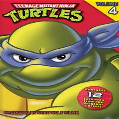 Teenage Mutant Ninja Turtles 4 (닌자 거북이 4)(지역코드1)(한글무자막)(DVD)