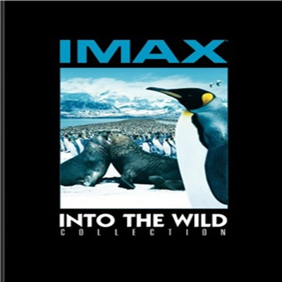 Into The Wild Collection (인투 더 와일드 컬렉션)(지역코드1)(한글무자막)(DVD)