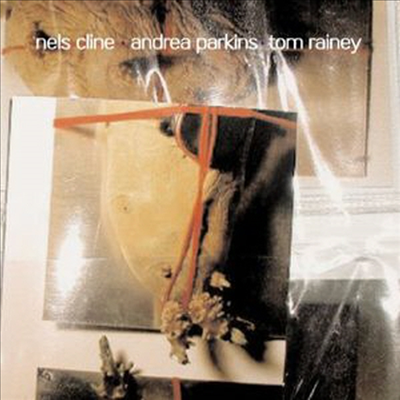 Nels Cline/Andrea Parkins/Tom Rainey - Out Trios 3 (CD)