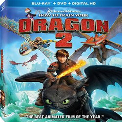 How to Train Your Dragon 2 (드래곤 길들이기 2) (한글무자막)(Blu-ray)