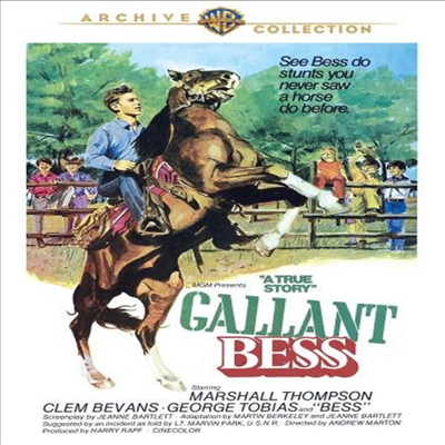 Gallant Bess (갤런트 베스)(지역코드1)(한글무자막)(DVD)(DVD-R)