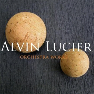 알빈 루시에: 관현악 작품집 (Alvin Lucier: Orchestra Works)(CD) - Christian Arming