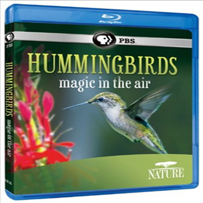 Nature: Hummingbirds (벌새) (한글무자막)(Blu-ray)