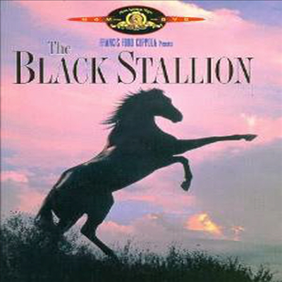 Black Stallion (검은 종마)(지역코드1)(한글무자막)(DVD)