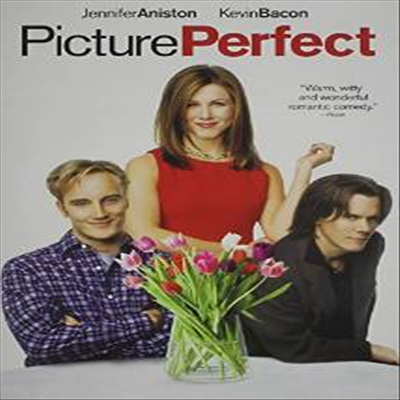 Picture Perfect (웨딩 소나타)(지역코드1)(한글무자막)(DVD)