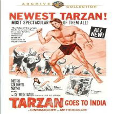 Tarzan Goes To India (타잔 - 조크 마호니 편 1)(지역코드1)(한글무자막)(DVD)(DVD-R)