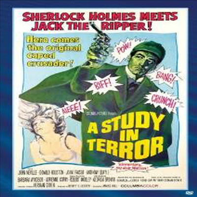 Study In Terror (스터디 인 테러)(지역코드1)(한글무자막)(DVD)