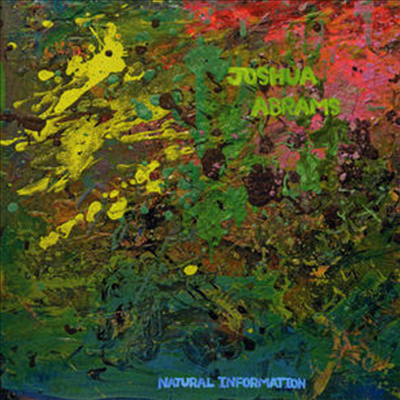 Joshua Abrams - Natural Information (CD)