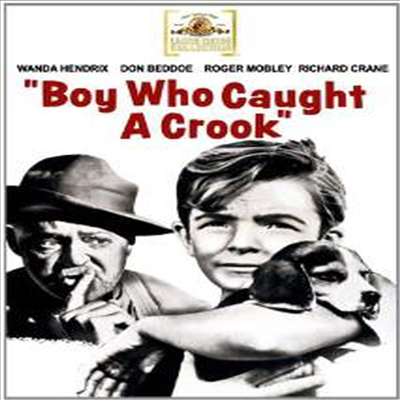 Boy Who Caught A Crook (보이 후 코트 어 크룩)(한글무자막)(DVD)