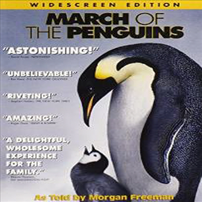 March Of The Penguins (펭귄 - 위대한 모험)(지역코드1)(한글무자막)(DVD)