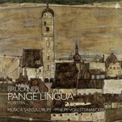 브루크너: 입을 열어 찬미하라 (Bruckner: Motetten &#39;Pange lingua&#39;)(CD) - Philipp von Steinaecker