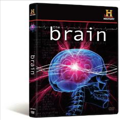 Brain (브레인)(지역코드1)(한글무자막)(DVD)