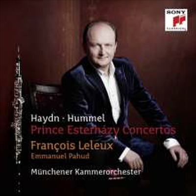 에스테르하지 공을 위한 오보에와 플루트 협주곡 (Prince Esterhazy Flute & Oboe Concerto) - Emmanuel Pahud