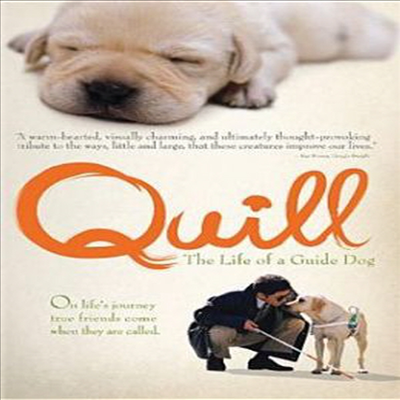 Quill: The Life of a Guide Dog (퀼)(지역코드1)(한글무자막)(DVD)