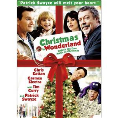 Christmas in Wonderland (크리스마스 인 원더랜드)(지역코드1)(한글무자막)(DVD)