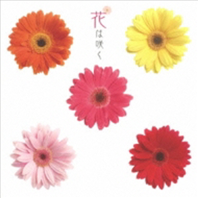 5개의 &#39;꽃의 개화&#39; - 박규희 기타버전 포함 (Kyuhee Park - Flowers bloom) (일본반) (CD) - 박규희(Kyuhee Park)