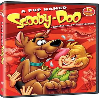 A Pup Named Scooby-Doo: Comp 2nd 3rd & 4th Seasons (스쿠비 두 시즌 2.3.4)(지역코드1)(한글무자막)(DVD)