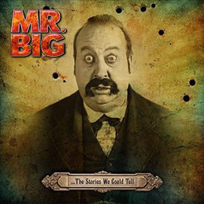 Mr. Big - Stories We Could Tell (Ltd. Ed)(Vinyl 2LP)