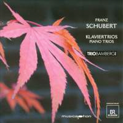 슈베르트: 피아노 삼중주 1번 & 2번 (Schubert: Piano Trio Nos.1 & 2)(CD) - Trio Bamberg